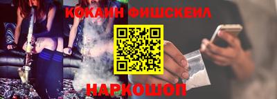 гашик Моздок