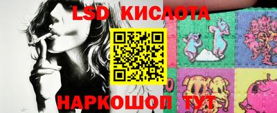гашик Моздок
