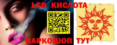 гашик Моздок