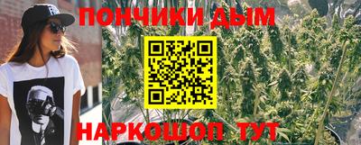 гашик Моздок