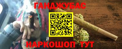 гашик Моздок