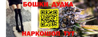 гашик Моздок