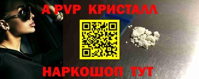 гашик Моздок
